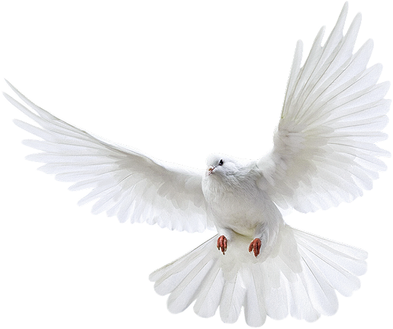 Home remodels - Custom Homes