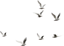 Home remodels - Custom Homes